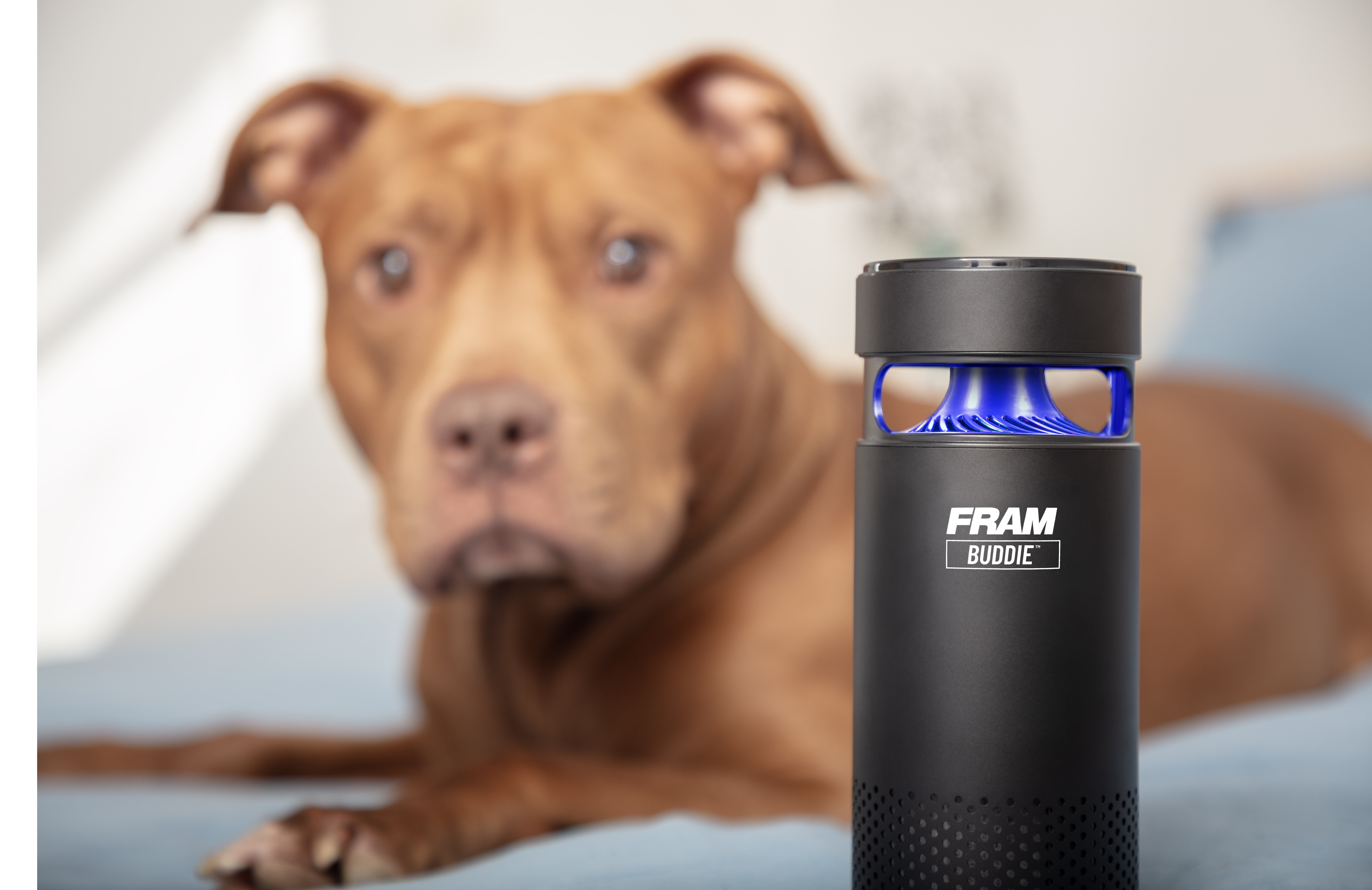 FRAM Buddie™ Air Purifier
